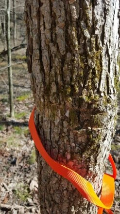 Tentsile Flite Tree Tent -Hiking And Camping 13