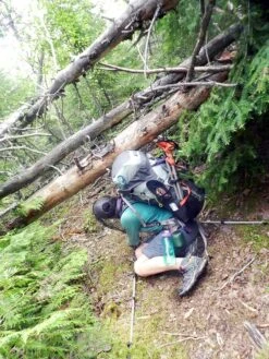 REI Flash 65 -Hiking And Camping 13576734 971049649677961 2671086741820215692 o