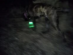 LazerBrite Multi-Lux Unit -Hiking And Camping 20131108 050500