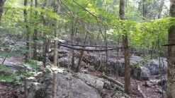 Hennessy Hammock Safari Deluxe Asym Classic -Hiking And Camping 20150822 105858