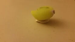 Amphipod Swift-Clip Cap Light -Hiking And Camping 20161001 220602