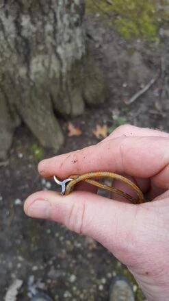 Therm-a-Rest Slacker Hammock House -Hiking And Camping 20170326 084452