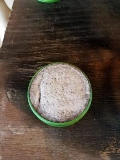 Trail Designs Kojin Stove -Hiking And Camping 20180908 143223