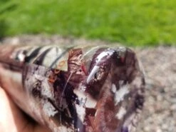 EcoVessel The Boulder Insulated -Hiking And Camping 20190820 161349