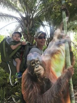 Kelty Journey PerfectFit Elite 29 Kelty Journey PerfectFit Elite -Hiking And Camping 6FE9AB1E 4466 45D6 9C60 4DAE3D566E72