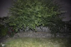 BioLite PowerLight Mini -Hiking And Camping BioStill07