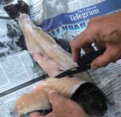 Leatherman Wave -Hiking And Camping FullSizeRender 4