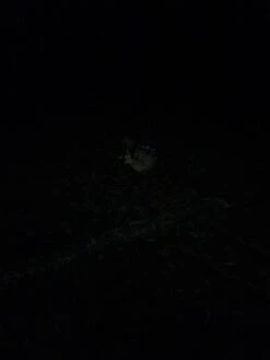 NiteRider Adventure 180 -Hiking And Camping IMG 1075