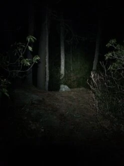 NiteRider Adventure 180 -Hiking And Camping IMG 1098