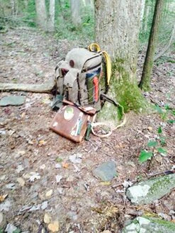 Silky BigBoy -Hiking And Camping IMG 1460 2