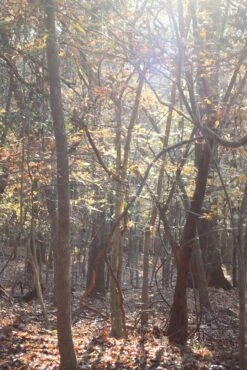 Granite Gear Vapor Current Airbeam Frame -Hiking And Camping IMG 1763