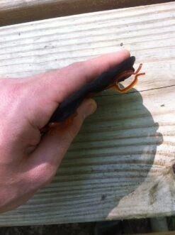 GSI Outdoors Ultralight Java Drip -Hiking And Camping IMG 3119