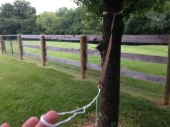 Hummingbird Hammocks Tree Straps -Hiking And Camping IMG 3946 1