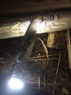 SOG BladeLight Camp -Hiking And Camping IMG 4818