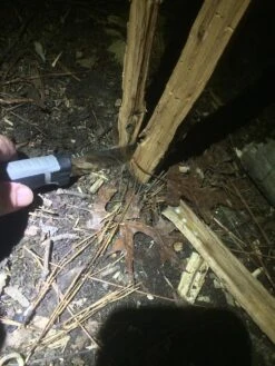 SOG BladeLight Camp -Hiking And Camping IMG 4824