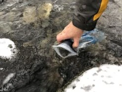 MSR Thru-Link -Hiking And Camping IMG 5282