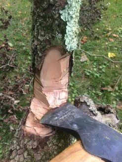 Hults Bruk Almike -Hiking And Camping IMG 5799