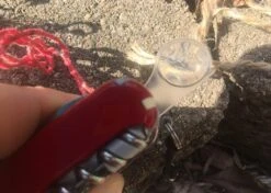 Victorinox Swiss Army SwissChamp SOS Set -Hiking And Camping IMG 8753