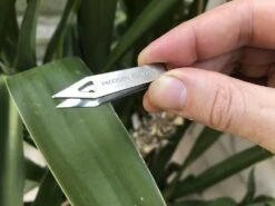 Hiking And Camping -Hiking And Camping IMG 9368