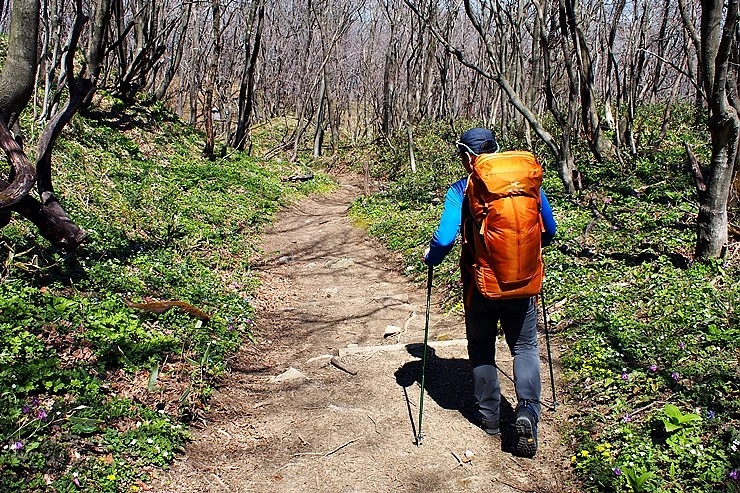 Arc'teryx Axios 50 4 Arc'teryx Axios 50 - Image 2