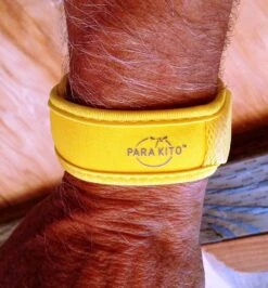 Para'Kito Mosquito Repellent Band -Hiking And Camping Para Kito Edited Trailspace