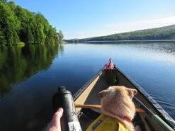 RTIC 18oz Bottle -Hiking And Camping early solo june green river 26