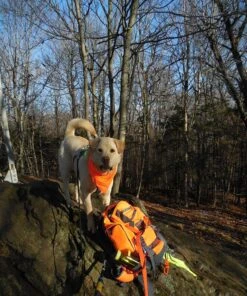 L.L.Bean Trail Model Hunting Pack -Hiking And Camping gile pack