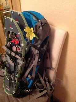 Deuter Guide Tour 35+ SL -Hiking And Camping image 3370