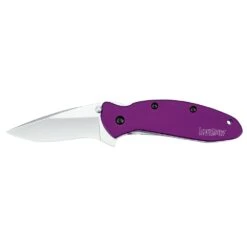 Kershaw Scallion -Hiking And Camping kershaw scallion pocketknife 1 2