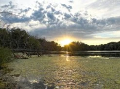 MSR Guardian Purifier -Hiking And Camping msr13 easyHDR