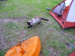 MSR Fury -Hiking And Camping msrfury4