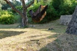 Clark North American -Hiking And Camping picture 46