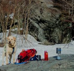 MSR PocketRocket -Hiking And Camping pocket rocket