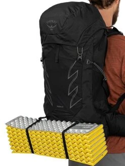 Osprey Talon 44 -Hiking And Camping talon44 s21 detail3 stealthblack